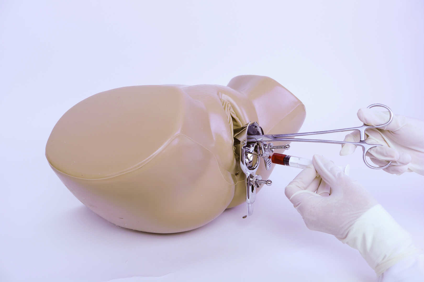 Posterior Vaginal Fornix Puncture Model