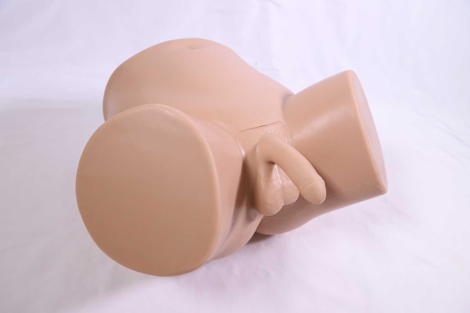 Advanced Male Catheterization Model