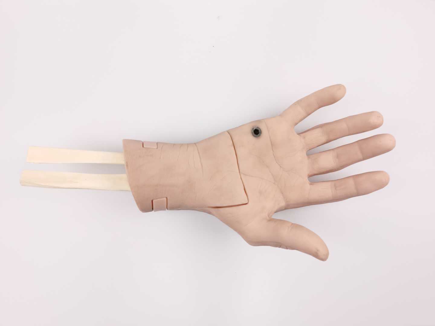 Wrist Arthroscopy Model