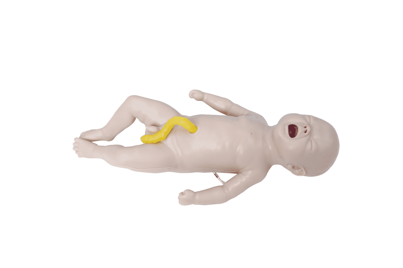 Neonatal Resuscitation Simulator