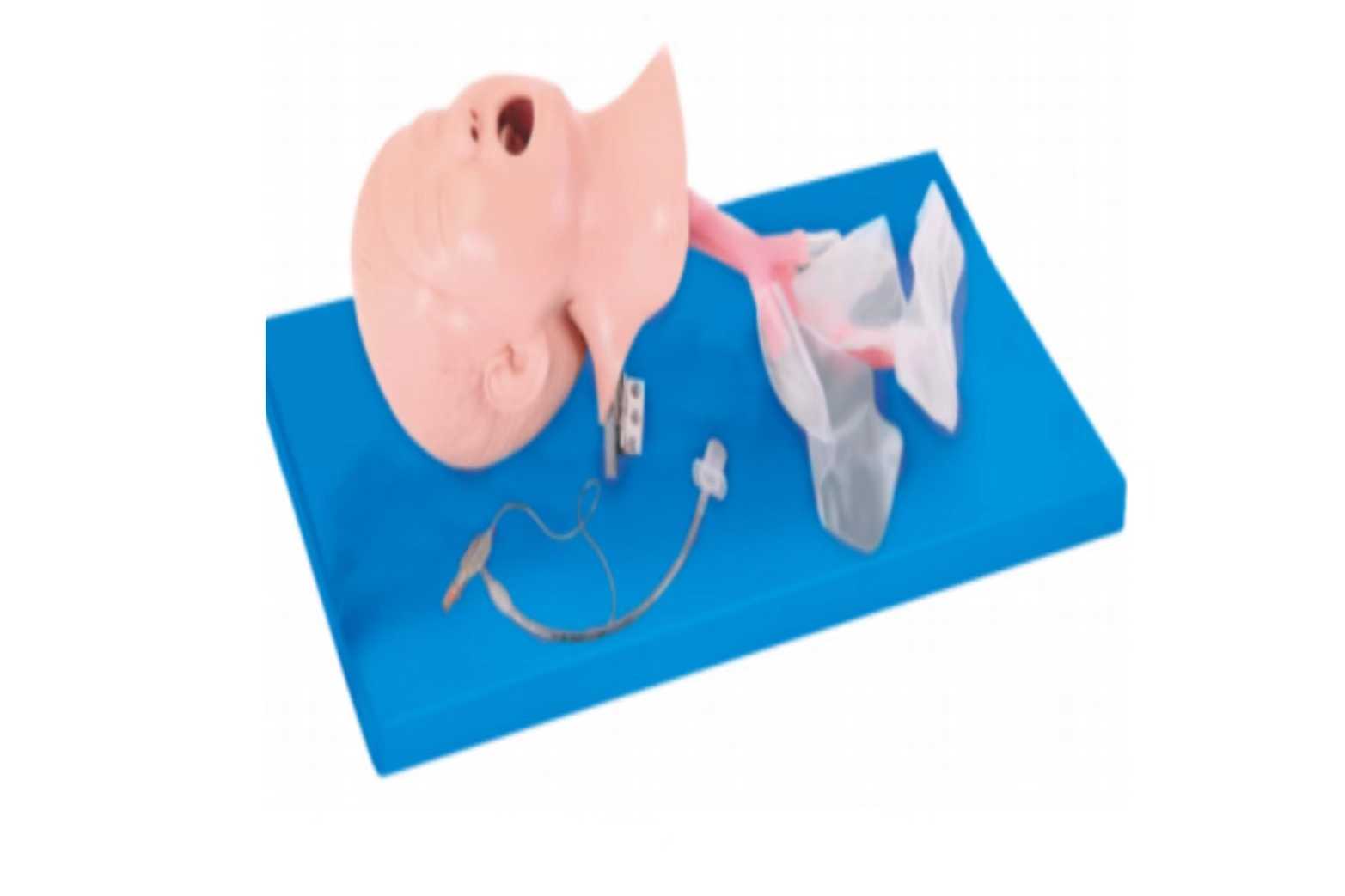 Child Trachea Intubation Model