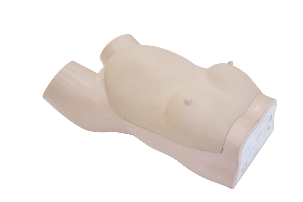 Obstetric Examination Trainer Torso